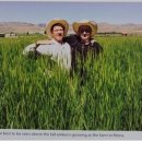 상형농장 이미지