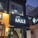 커피 뮬(COFFEE MULE) | 성신여대 근처 공부하기 좋은 카페 뮬 MULE 이용 후기 귀여운 강아지 있는 카페