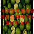 정지천 이미지