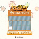 메가후르츠비전점