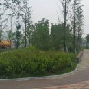 소사벌 더샵 앞 이미지