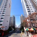 달동이네 이미지