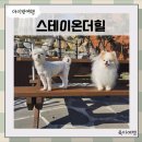 스테이온더힐 | 아이랑 청도애견펜션 천연 잔디 마당이 있는 독채 스테이온더힐