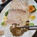 우리수산회초장 | 칠곡학정동맛집 돌수산회 모듬회 가격 내돈내산