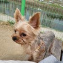 해피올동물병원 이미지