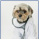 라비동물병원 이미지