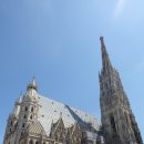 1447 | 슈테판 대성당 제대로 보기 : 건축 특징·내부 구조·관람 팁