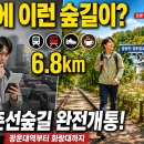 경춘선 자전거도로[묵현-7] | 2026 경춘선숲길 완전개통 총정리｜광운대역부터 화랑대 철도공원까지 6.8km 서울 걷기 좋은 길