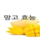 망고 이미지