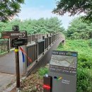 대화천