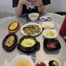 살아있네문어