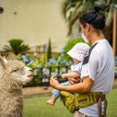 동산농장(1) 이미지