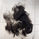 헤어월드 | [인천 연수동] 알팀헤어 대동월드점에서 펌하고 온 후기