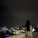 정원일루이스