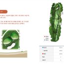 벌티식당 | 청주그랜드cc 동코스 남코스 실제 라운딩 후기와 클럽하우스 먹방