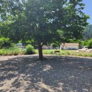 오래캠핑장 이미지