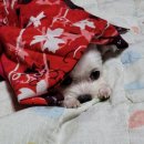 장정경로당 이미지