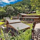 치유의 숲 이미지