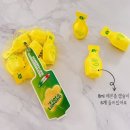 피오디