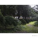 바람의향기 이미지