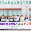 신호탄 엔디엔뉴스