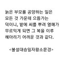 불설대승일자왕소문경 이미지