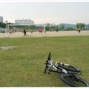 금호강 둔치 축구장 이미지