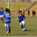 봉양축구장 이미지