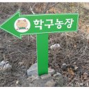 학구농장 Daum카페