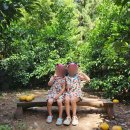 자매농장 | 제주 아이랑 체험 추천｜유진팡 열대과일농장 바나나 따기 체험과 잼 만들기 후기
