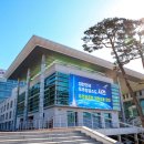 우리강아지 이미지