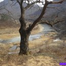 구담마을 이미지