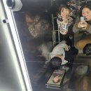 우리할매떡볶이 문래점 | 왜 정체기인지 알다가도 모르겠는 다이어터의 일상