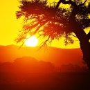 나미브(NAMIB) 티스토리