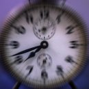 콩콩설기 | 26년 1월 2주 나날