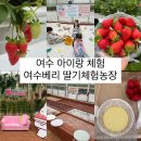 여수농장 | 여수 아이랑 가볼만한곳 실내 키즈카페까지 만족도 최고 [ 여수베리 딸기체험농장 ]