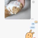 다휘 이미지