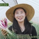 일사천리유통