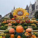 로터스테마투어 | 다낭 바나힐 마이리얼트립 단독 왕복차량 내돈내산 후기