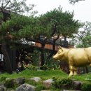 백운목장 이미지