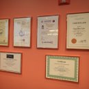 미라클 독 이미지