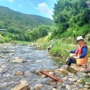 솔내음과 물소리 이미지