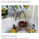 김용경농장 | 고등어빵 경주빵 건강즙 다드리오 이벤트 입니다(25차)