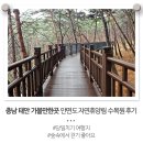 충남 태안 가볼만한곳 안면도 당일치기 여행지 자연휴양림 수목원 후기