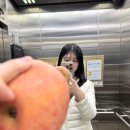 주식회사 진왕자동차검사정비공업사 | 기록은 힘!💪🏻