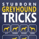 그레이하운드... 이미지