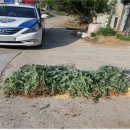 양포파출소 이미지