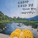 2025 세광의 초복🐓 이미지