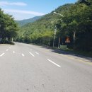 곤룡쉼터 네이버블로그