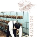 현호농장 이미지